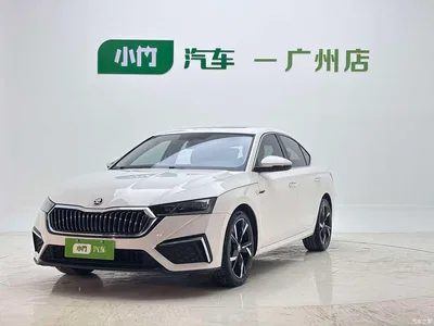 2022 Škoda Octavia PRO TSI280 Premium Edition, фото 1, лот 10349474