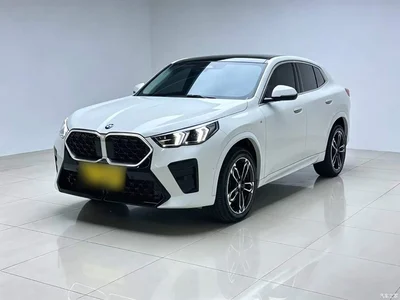 2024 BMW X2 (Import) sDrive25i M Sport Package, фото 1, лот 10475570