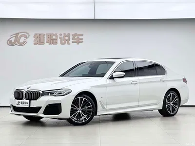 2021 BMW 5 Series 530Li Leading M Sport Package, фото 1, лот 10842371