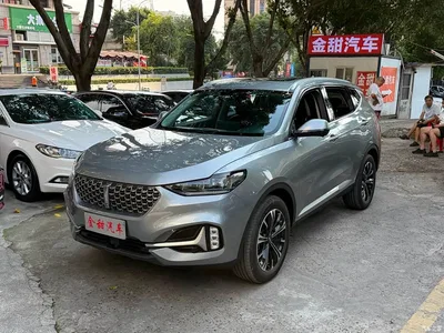 2021 WEY VV6 2.0T 2WD Smart Protection+, фото 3, лот 10451785