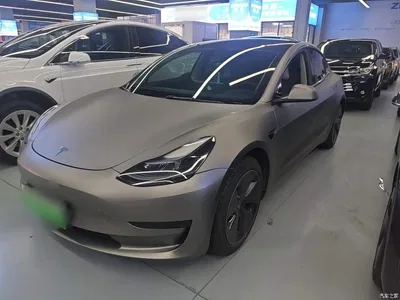 2022 Tesla Model 3 Model Rear-Wheel Drive Version, фото 1, лот 10375061