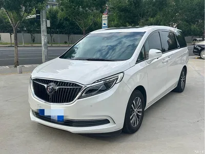 2017 Buick GL8 ES 28T Luxury China V, фото 1, лот 10253383
