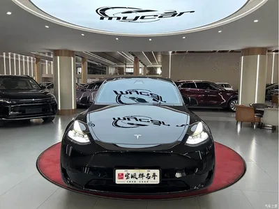 2022 Tesla Model Y Rear-Wheel Drive Version, фото 2, лот 11138594