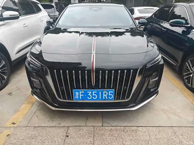 2023 Hongqi H5 2.0T Auto Smart Connect Flag Comfort, фото 2, лот 10288215