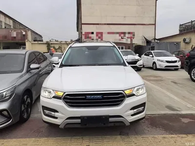2016 Haval H7 Blue Label H7 2.0T Automatic Luxury, фото 3, лот 11132064