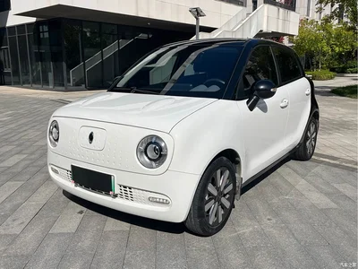 2021 Ora Black Cat 351km Luxury Model, фото 1, лот 11565392