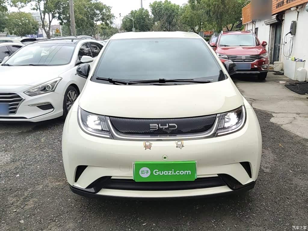 2024 BYD Dolphin Glory Edition 420km Freedom Edition, фото 3, лот 11221507