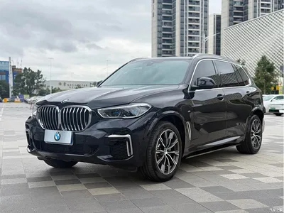 2022 BMW X5 xDrive 30Li Premium M Sport Package, фото 1, лот 10462742