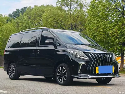 2022 Dongfeng Fengxing M7 Noble Series 2.0T Automatic Supreme Edition, фото 3, лот 11148220