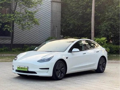 2021 Tesla Model 3 Standard Range Rear-Wheel Drive Upgrade 3D6, фото 1, лот 11582586