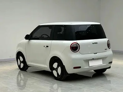 2022 Changan Qiyuan Changan Lumin 210km Sweet Edition, фото 4, лот 10407124