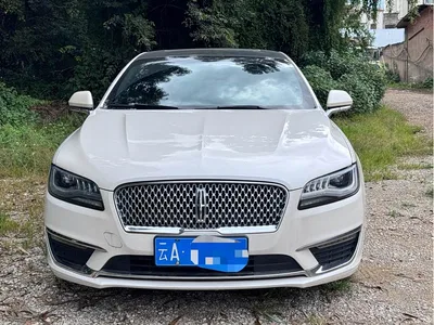 2019 Lincoln MKZ 2.0T Zunxiang Edition China VI, фото 2, лот 10318828