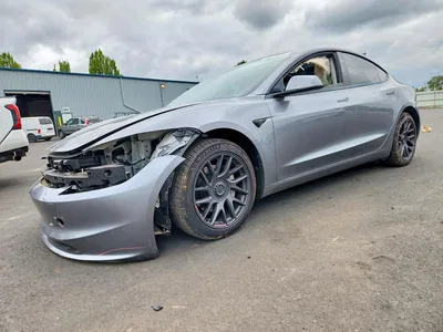 2025 TESLA MODEL 3, фото 1, лот 10857302