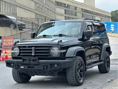 2021 Tank 300 Off-road Version 2.0T Conqueror, фото 1, лот 10837330