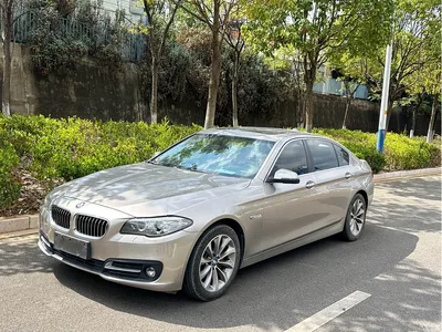 2017 BMW 5 Series 525Li Leading Edition, фото 1, лот 11194342
