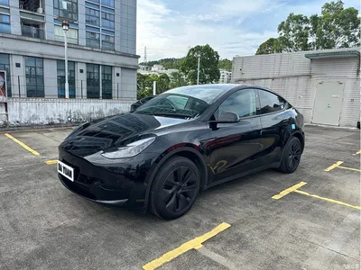 2024 Tesla Model Y Rear-Wheel Drive Version, фото 1, лот 11564737