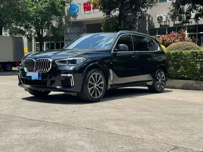 2022 BMW X5 Facelift xDrive 30Li Premium M Sport Package, фото 1, лот 10398424