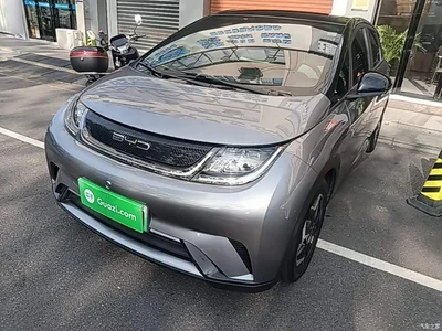 2021 BYD Dolphin Model 405km Fashion Edition, фото 1, лот 10264525