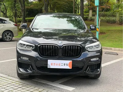 2019 BMW X4 xDrive25i M Sport Package, фото 2, лот 10476802