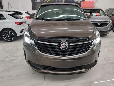 2022 Buick GL8 Land Business Class 652T Luxury, фото 3, лот 10262452