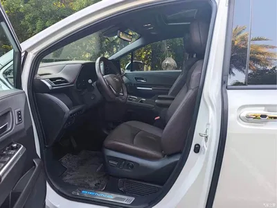 2021 Toyota Sienna 2.5L Hybrid Platinum Edition, фото 4, лот 10323921