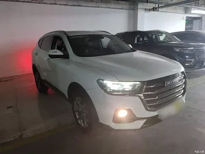 2021 Haval H6 Model National Trend Edition 1.5T Auto Champion, фото 4, лот 10285918