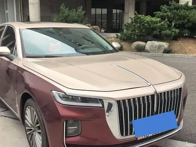 2020 Hongqi H9 2.0T Smart Connection Qi Xiang Edition, фото 1, лот 11216186