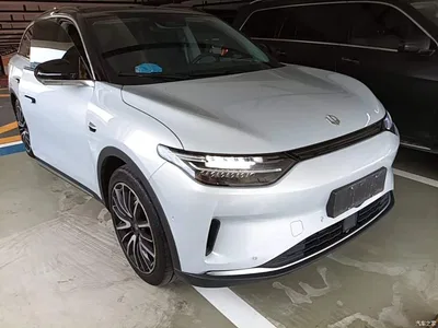 2021 Leapmotor C11 Executive Edition 610, фото 4, лот 10676023