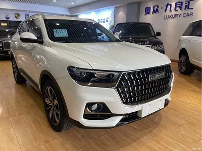 2023 Haval H6 National Trend Edition 1.5T Automatic Champion, фото 2, лот 10299704