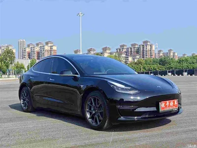 2020 Tesla Model 3 Facelift Long Range Rear-Wheel Drive, фото 3, лот 10346107