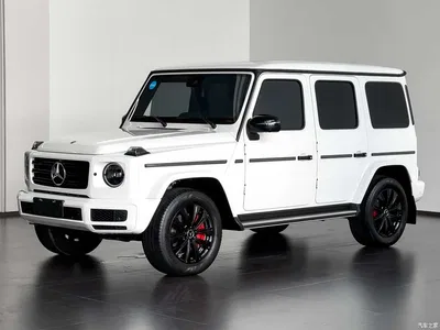 2023 Mercedes-Benz G-Class G 350, фото 1, лот 10261465