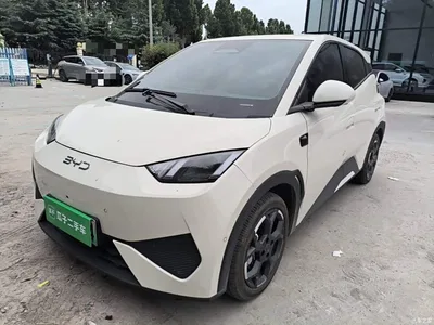 2025 BYD Seagull Smart Drive Edition 305km Freedom Version, фото 1, лот 10262521