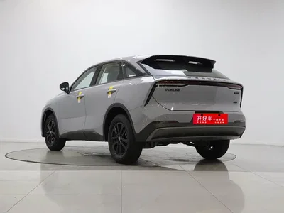 2026 Venucia Big V 260T Rising Star Edition Pro, фото 4, лот 11153908