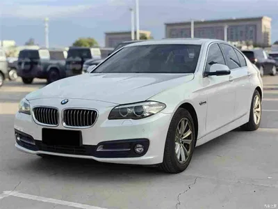 2014 BMW 5 Series (Import) 520i Classic, фото 1, лот 11502230