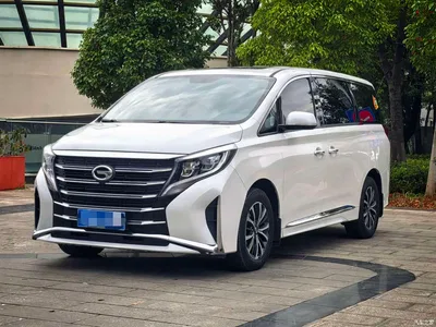 2023 GAC Trumpchi Trumpchi M8 Leading Series 390T Luxury Edition, фото 1, лот 10386102