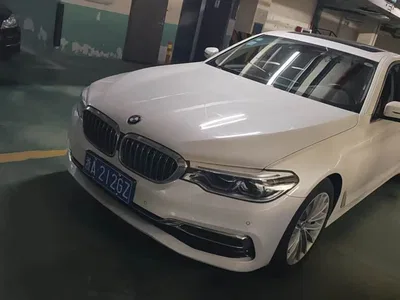2020 BMW 5 Series 530Li Leading Luxury Package, фото 1, лот 11195511