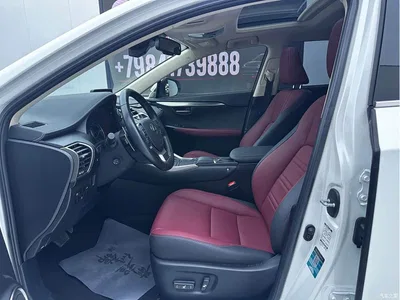 2020 Lexus NX 200 AWD F Sport China VI, фото 4, лот 10317415