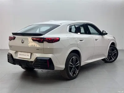 2024 BMW X2 (Import) sDrive25i M Sport Package, фото 4, лот 10410529