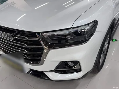 2021 Haval H6 National Trend Edition 1.5GDIT Automatic Champion Edition, фото 3, лот 10286831