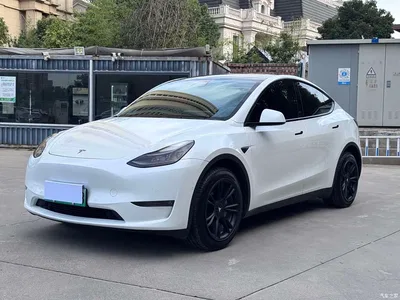 2022 Tesla Model Y Long Range AWD, фото 1, лот 10396703
