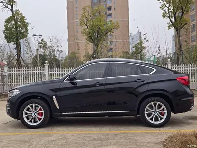 2017 BMW X6 xDrive35i Luxury, фото 4, лот 10621308