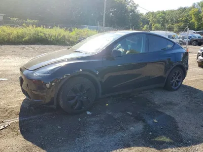 2025 TESLA MODEL Y, фото 1, лот 10854942