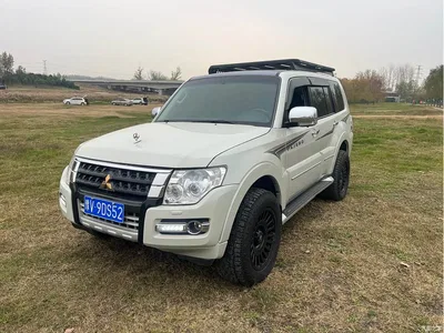 2019 Mitsubishi Pajero (Import) 3.0L Auto Luxury Version, фото 1, лот 10339515