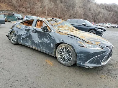 2024 LEXUS ES 350 BASE, фото 4, лот 10899821