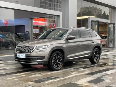 2019 Škoda Kodiaq Facelift TSI330 7-Seater 2WD Luxury Premium Edition China V, фото 1, лот 11227823