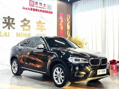 2017 BMW X6 xDrive35i Leading, фото 3, лот 10423382