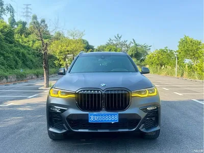 2019 BMW X7 xDrive40i Exclusive M Sport Package, фото 2, лот 10475705