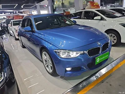 2017 BMW 3 Series 320Li M Sport, фото 4, лот 10457442
