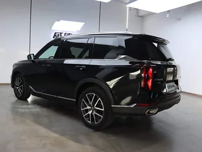 2022 GAC Trumpchi Trumpchi GS8 Pilot Series 2.0TGDI 2WD Luxury Smart Connect Edition (7-Seater), фото 3, лот 10414493