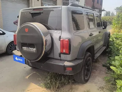 2021 Tank 300 Off-road Edition 2.0T Challenger, фото 3, лот 10344693